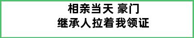 相亲当天 豪门继承人拉着我领证